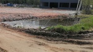 7.05.2025.Усадьба Парк Кино Ляхово. Парк Кошек.Домодедово.Обзор проведённых работ.Трасса Каширского