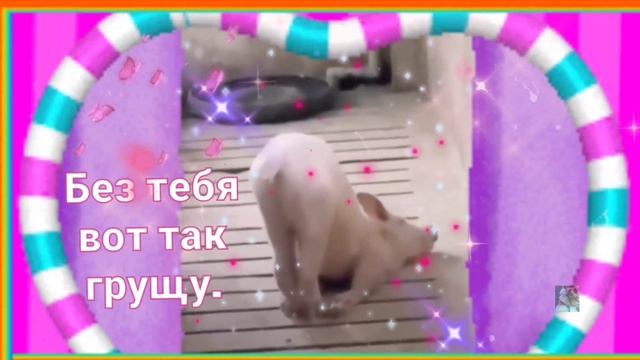 🎶Приветик☀️Как твои дела? Тебе приветик от меня! ВЕСЁЛОЕ ВИДЕО ДЛЯ НАСТРОЕНИЯ 💙#музыкальнаяоткрытка