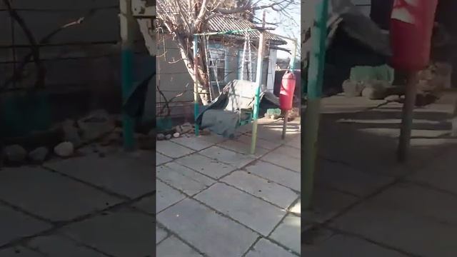 Гриша катается на качелях смотреть онлайн