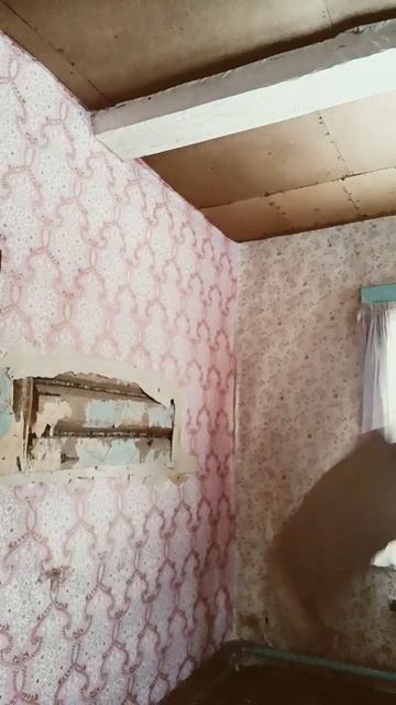 Демонтаж внутренней отделки сруба #домизбревна #стары смотреть онлайн