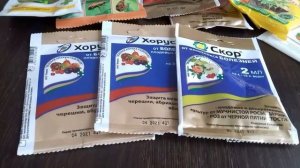 🌳 Чем обработать деревья  весной? Лучшие препараты для защиты сада!