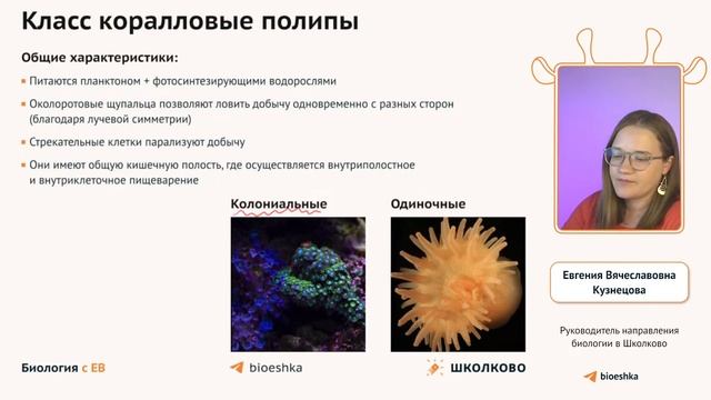 Простейшие, кишечнополостные, моллюски, черви | ЕГЭ и ОГЭ 2024 по биологии