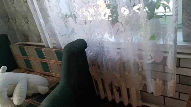 Пару мгновений наших дней. Все как у всех. Доминика сее смотреть онлайн