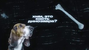 Вирус бешенства оставит тебе 7 дней! Сознание животных