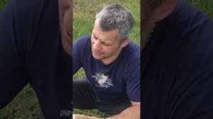 Черт вас возьми степи...Как вы хороши!