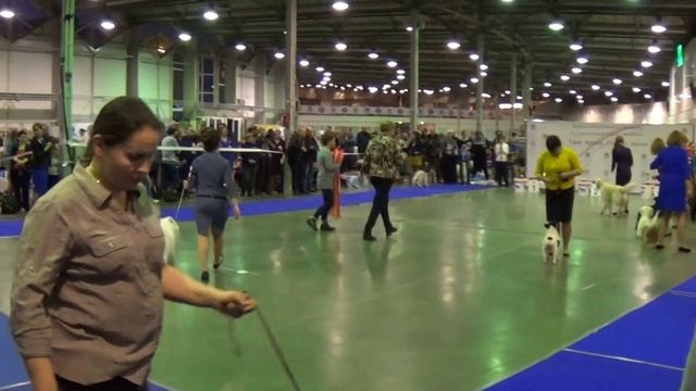 00054 24 января 2016 моно ши-тцу смотреть онлайн