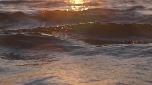 Ландыши. Такая нежная любовь 1 2 3 4  серия (2025) // Wink //  Мел?