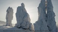 Кадры природы, обработанные квантовым компьютером - реальность или фантастика - Rejecting Earthly Te