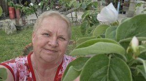 238. Привет из Крыма.  Теплый дождик. Наварила зеленого борща.07-05-2025