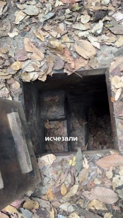 Подземные туннели Вьетконга сыграли одну из ключевых ролей в победе над США