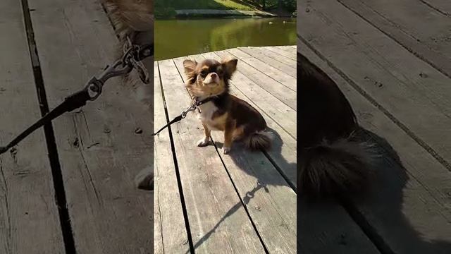 VID-20250507-WA0010 смотреть онлайн