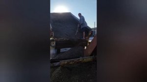 очищаем семена фацелии