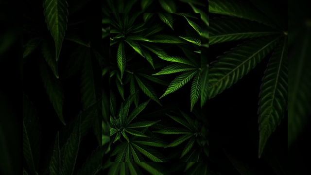 Музыка 21 века.