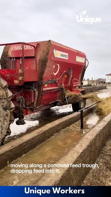 Automatic cattle feeding system- The workers do their job perfectly ｜｜ #machine #shorts