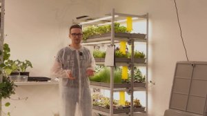 Сколько стоит сити-ферма? С чего начать, что бы открыть