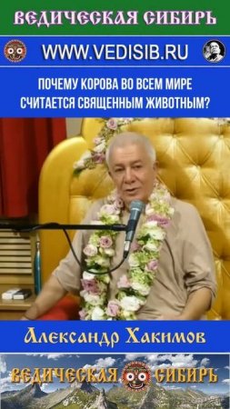 Почему Корова во всех религиях Священное животное?