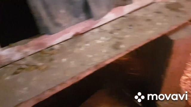 В ДЕРЕВНЕ./ БЕЛАРУСЬ.Яйценоскость зимой.