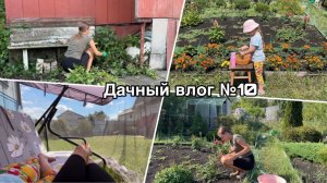 Дачный влог №10 🍓 Все скосила | Показала розы