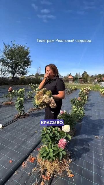 Тг канал Реальный питомниковод смотреть онлайн