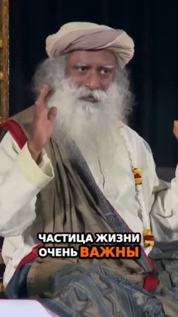 Вы основа вселенной.  Ваша жизнь имеет решающее значение!