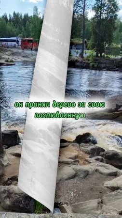 Каковы мы, таков и мир
