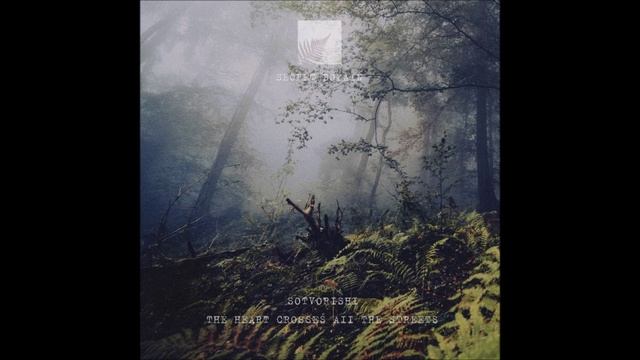 Sotvorishi - The Heart Crosses AII The Streets