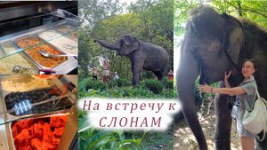 СОЧИ! Парк СЛОНОВ. Ужин в Гамма Сириус