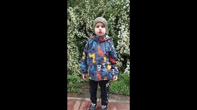 Стихотворный флешмоб «Мы о войне стихами говорим»