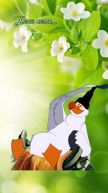 Бесплатный анализ мочи #юмор #приколы #рекомендации смотреть онлайн