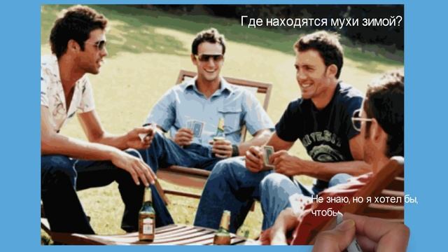 Анекдот от кота Миши про мух