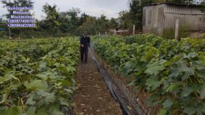 Каталог Максима Мойсеєнко 2024-2025 р.