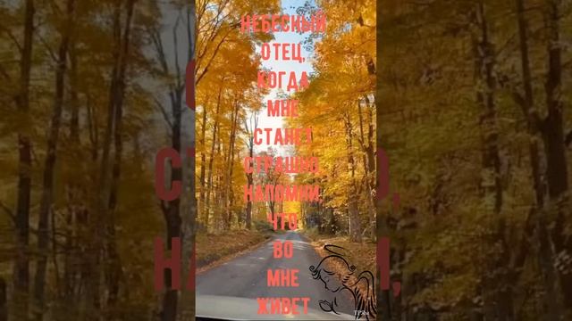 Октябрь 24, 2022   Бегство от индюков смотреть онлайн