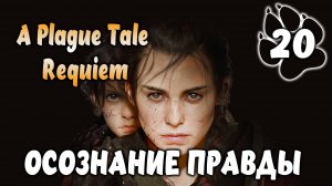 ОСОЗНАНИЕ ПРАВДЫ \ A Plague Tale: Requiem #20