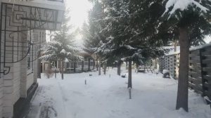 Прогулка по дачному участку 1 января. С Новым годом!