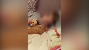 Отец изуродованного хаски мальчика из Сочи показал, как выглядел сын до трагедии