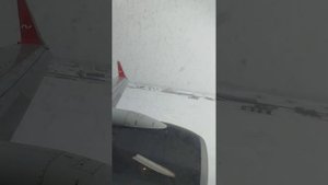 Посадка самолёта в Новосибирске