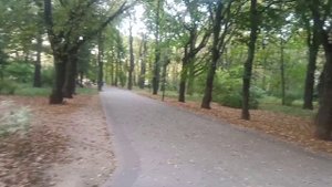 Прогулка через парк Дубки в Москве на Тимирязевской
