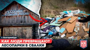 СВАЛКА В ПРИРОДНОЙ ЗОНЕ: лесопарк Лесоводов превращают в помойку