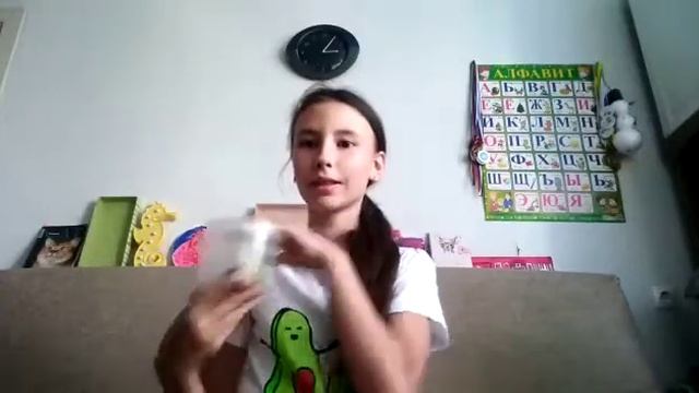 Акинатор  угадывает  моих  питомцев!  У  МЕНЯ  ПОЯВИЛСЯ  НОВЫЙ  ПИТОМЕЦ!