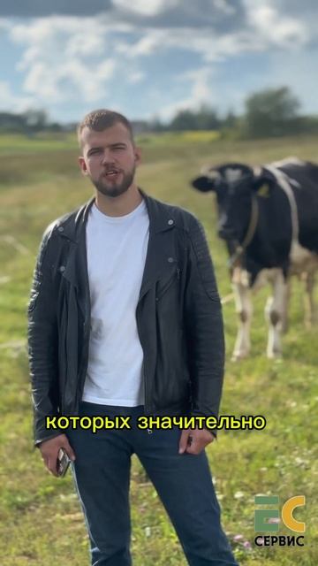 Вы все еще хотите себе каркасный дом?