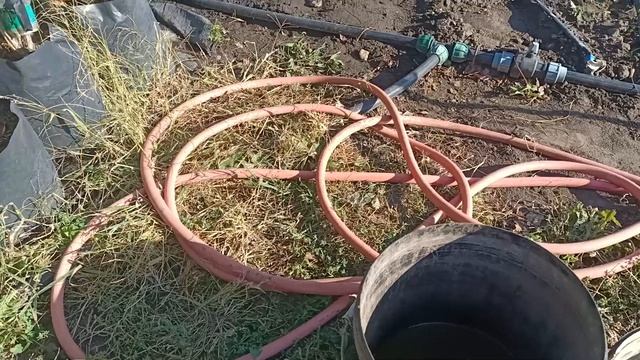 Подкисление и подкормка голубики. Осень смотреть онлайн