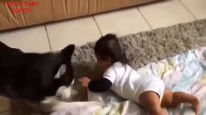 Подборка приколов с детьми  САМЫЕ СМЕШНЫЕ ВИДЕО