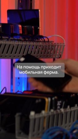 Что выращивают на мобильной ферме Selectel?