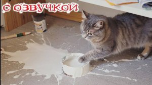 Коты-трешники с крутой озвучкой — Ты не готов! 😹