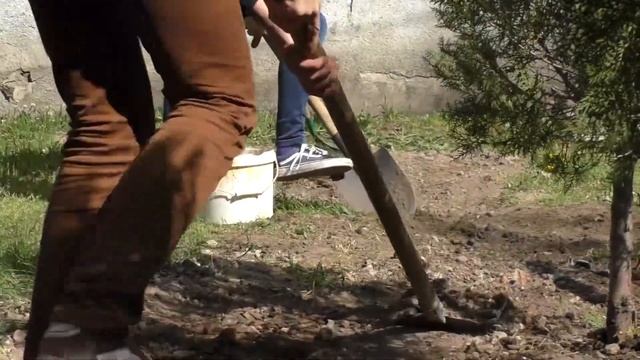 Большой субботник