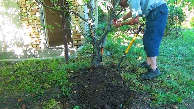 Постучал молотком по лопате