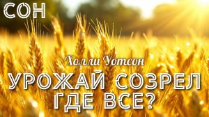 УРОЖАЙ СОЗРЕЛ. ГДЕ ВСЕ? ПРОРОЧЕСКИЙ СОН. Холли Уотсон