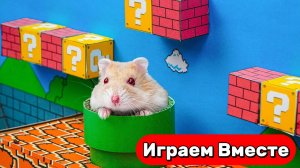 Хомяк сбегает из лабиринта Марио 🐹 Новые приключения Умного Хомяка 🐹 Видео для детей