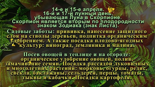 Агрогороскоп Апрель 2025: Лунный посевной календарь для