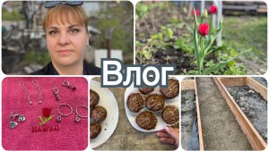 Почистила украшения. Вкусная выпечка. Отвечаю на комментарии.